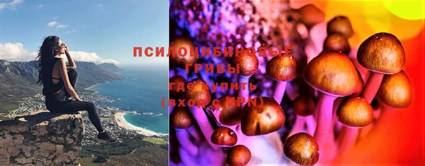 гидра Абинск